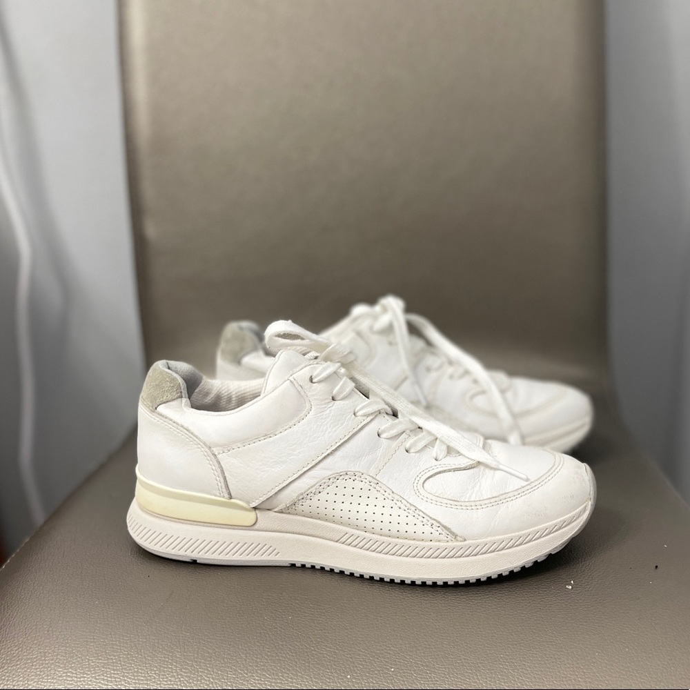 Everlane woman’s Sz 8 white leather sneakers